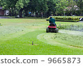 man with lawn mower 9665873