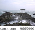 Sea torii Sea torii 9665990