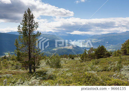 Valley with Vagamo and lake Vagavatnet (Oppland, Norway) Valley with Vagamo and lake Vagavatnet (Oppland, Norway) 9666135