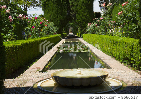 Generalife gardens, Granada, Andalusia Generalife gardens, Granada, Andalusia 9666517
