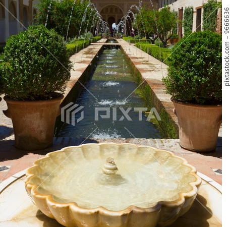 Generalife gardens, Granada, 9666636