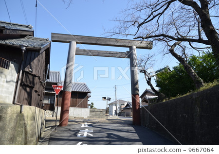 Sekijuku East's pursuit 9667064