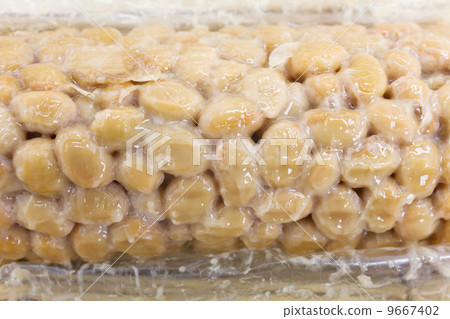 Natto Natto 9667402