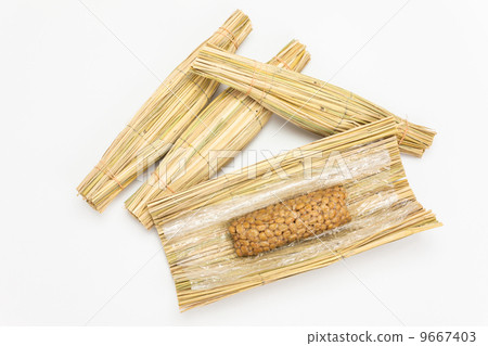 Natto Natto 9667403