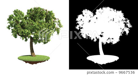 Green Tree Isolated on White Background. 9667536
