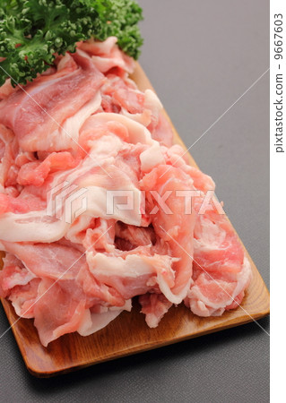 豬肉切斷 豬肉切斷 9667603