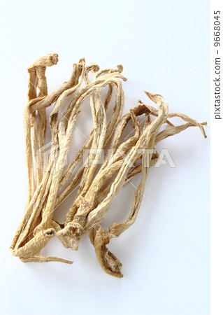 香菇蘿蔔 香菇蘿蔔 9668045