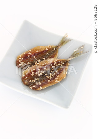 莫林幹洋蔥 9668129