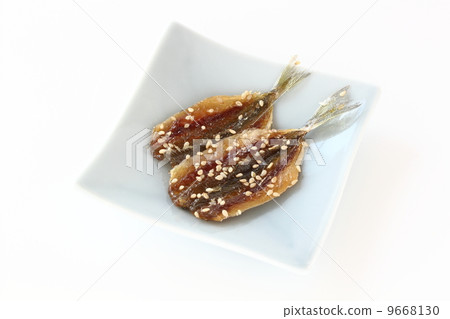 莫林幹洋蔥 9668130