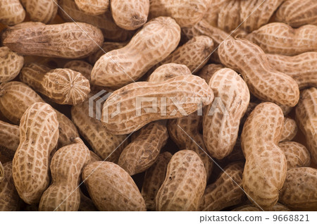 peanuts 9668821