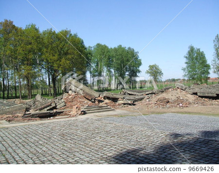 奧斯威辛（比克瑙）一條鵝卵石，繼續摧毀鐵線蓮和國際受害者紀念碑 9669426