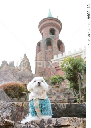 馬耳他語 馬耳他語 9669463