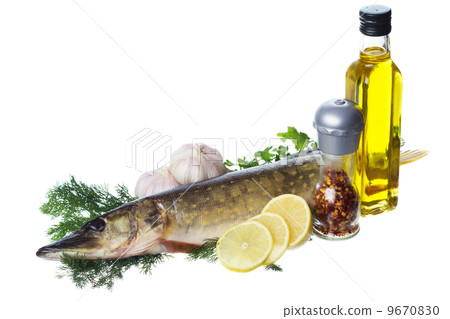 Raw pike with cooking ingredients Raw pike with cooking ingredients 9670830