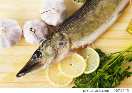 Raw pike with cooking ingredients 9671445