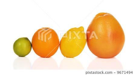 Fresh citrus 9671494