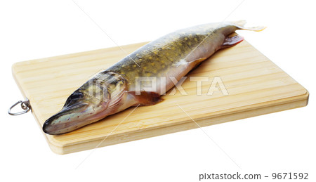 Raw pike with cooking ingredients Raw pike with cooking ingredients 9671592