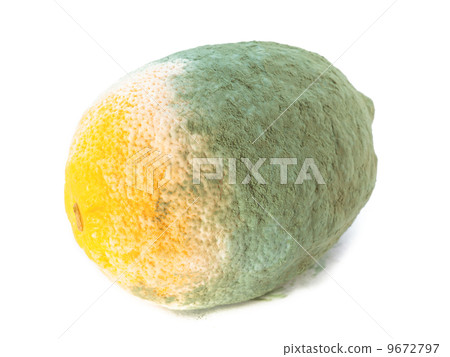 Green moldy lemon citrus fruit isolated. Damaged food. 9672797