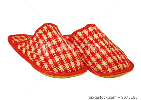 House Checkered Slippers.Isolated. 9673183