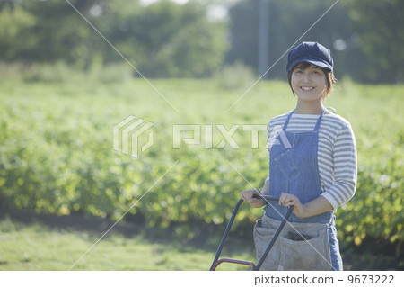 花園菜園 9673222