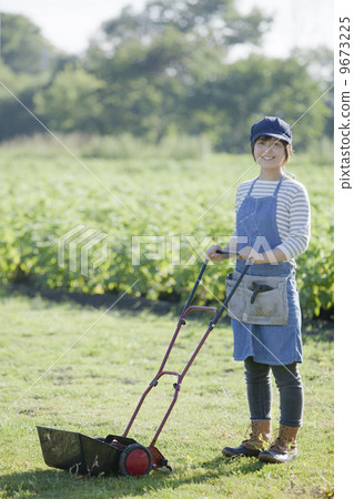 花園菜園 9673225