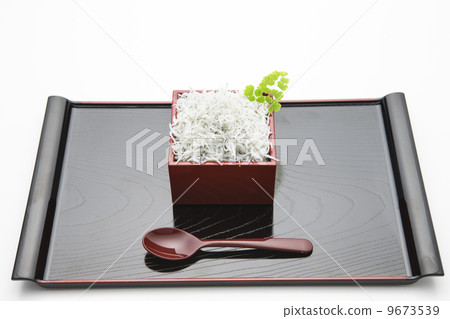 白石乾 白石乾 9673539