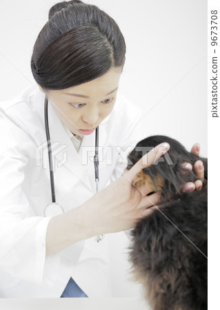 獸醫 9673708