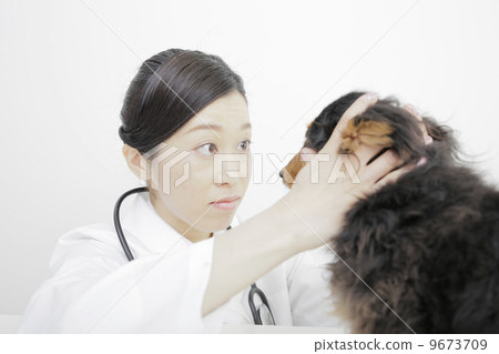 獸醫 獸醫 9673709