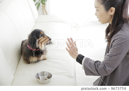 和狗一起生活 9673759