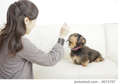 Living with a dog 9673787