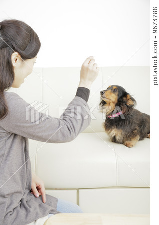 Living with a dog Living with a dog 9673788