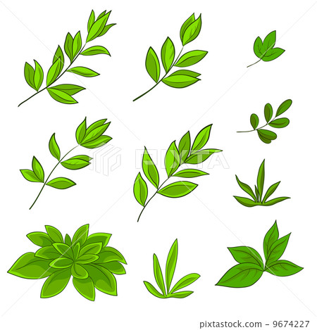 Leaves Leaves 9674227