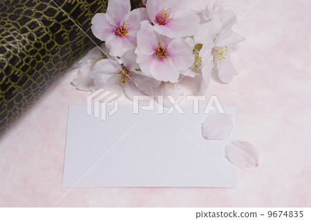 Spring Message Spring Message 9674835