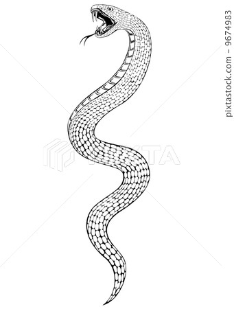 snake 9674983