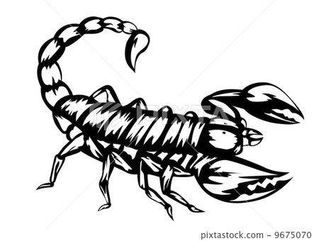 scorpion 9675070
