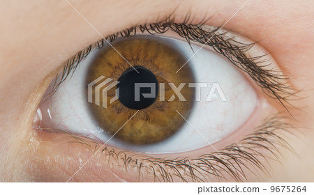 Human eye brown color 9675264