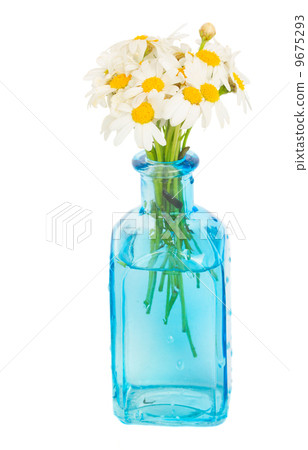daisy flowers posy in blue glass daisy flowers posy in blue glass 9675293