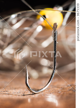 Hooks for fishing 9675339