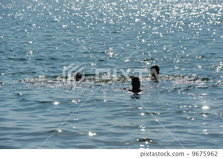 Swimming in lake Kinneret 9675962