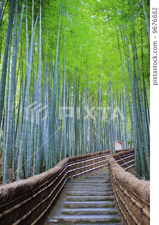 竹工廠佛寺 9676882