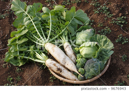 Assorted vegetables Assorted vegetables 9676943