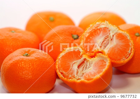 Mandarin orange  9677732