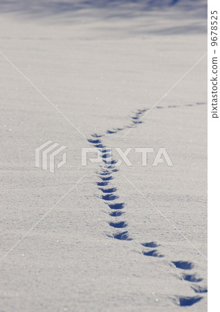 Footprints on the snow Footprints on the snow 9678525