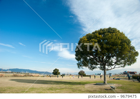 Park holiday 9679475