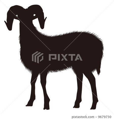 Not Silhouette _ 03 (Vector) 9679730