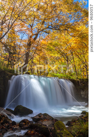 Autumn leaves of the Oirase stream / Choshi Otaki Autumn leaves of the Oirase stream / Choshi Otaki 9680057
