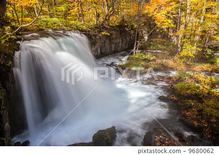 Autumn leaves of the Oirase stream / Choshi Otaki 9680062