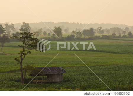 Old cottage on the green field at chiang rai, Thailand 9680902