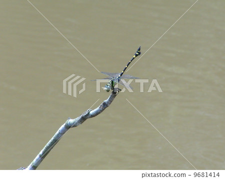 Taiwan Uchiyayama Taiwan Uchiyayama 9681414