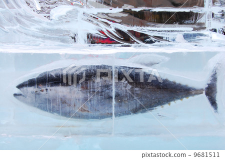 Fish in the ice Fish in the ice 9681511