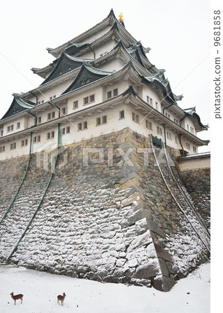 名古屋城堡和鹿 名古屋城堡和鹿 9681858